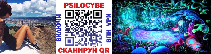 Купить где  Чита  Галлюциногенные грибы Cubensis 